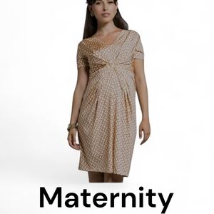 LEOTA Martini Waist Pleat, Birds & the Bees Maternity Dress Short Sleeve, V-neck
